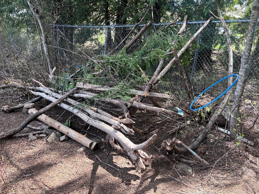 A pile of tree branches
Description automatically generated